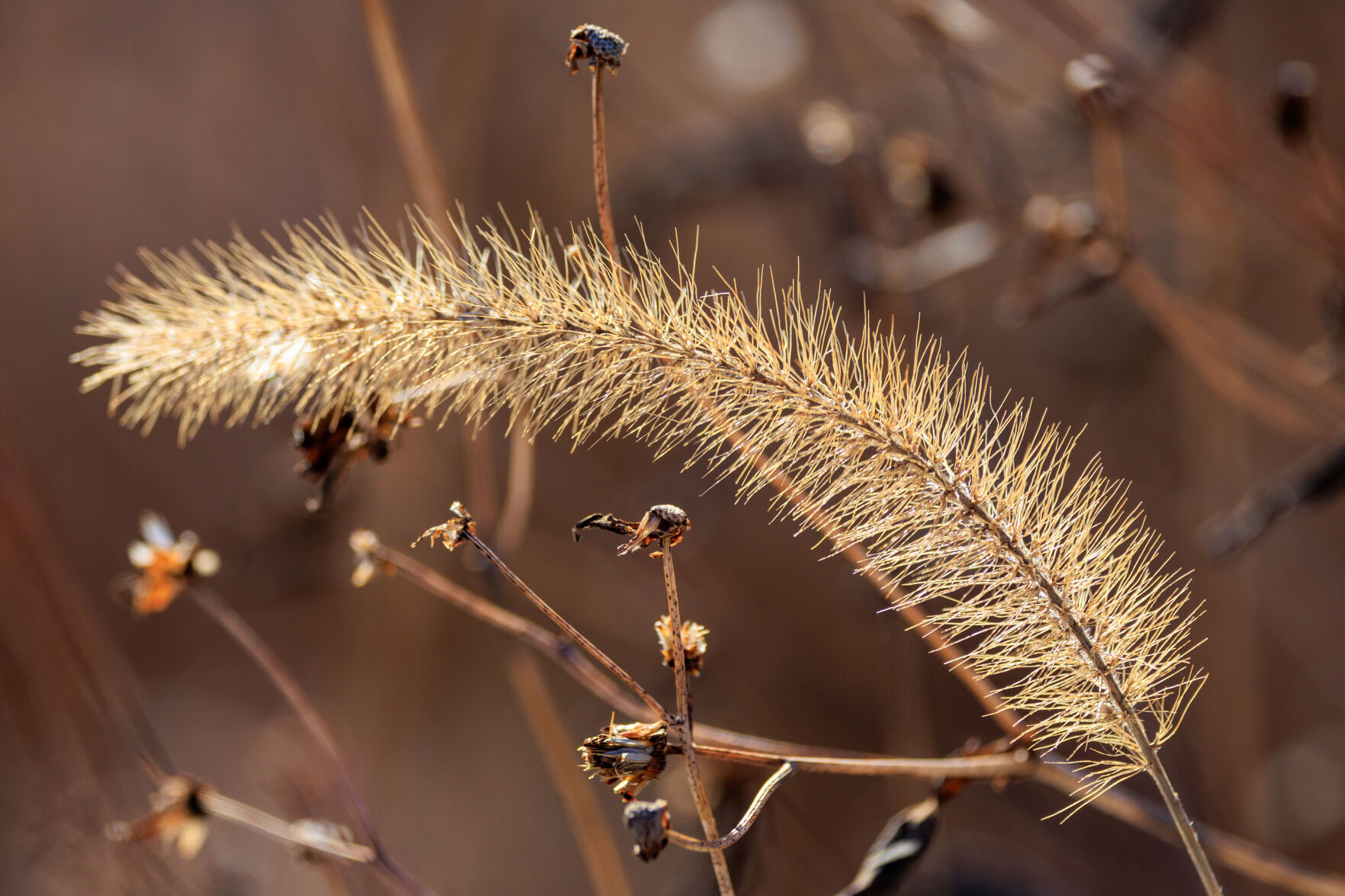 Winter whimsy